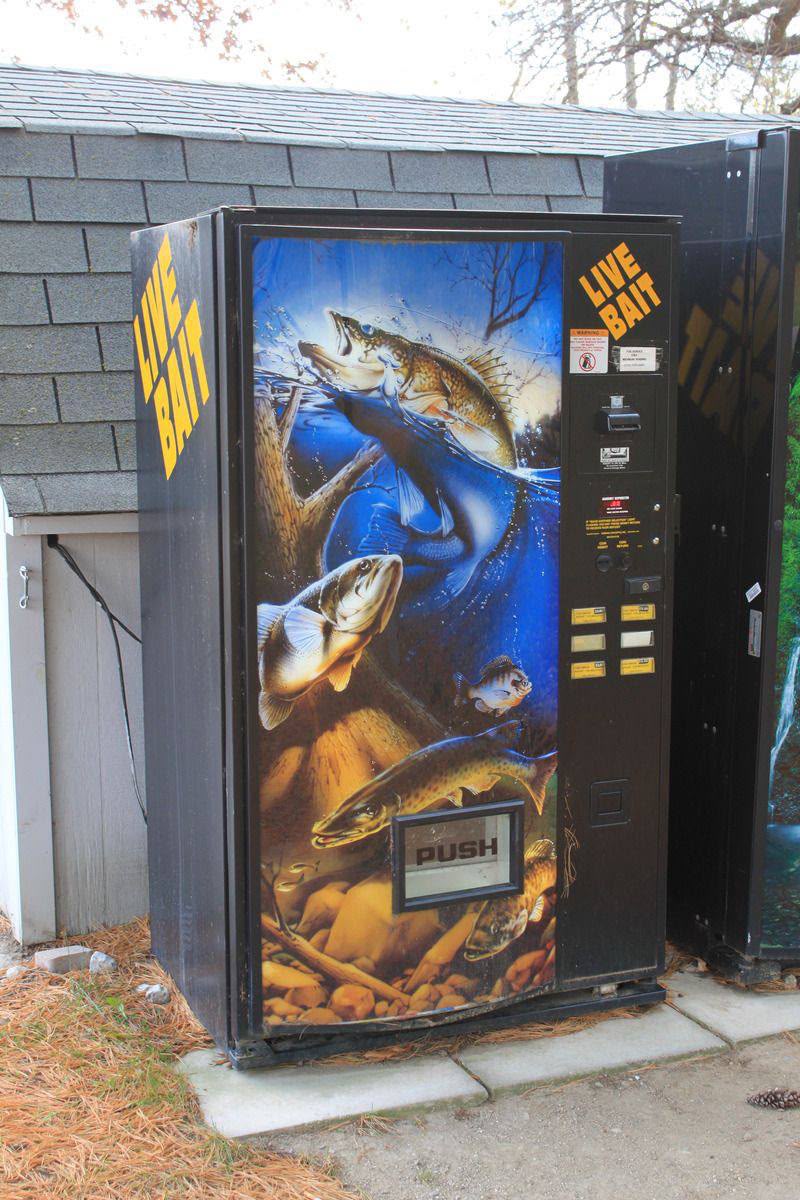 Live Bait Specialty Machine vending machine for sale UK